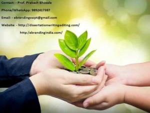 eBranding India is the Best Seed funding consultation servic